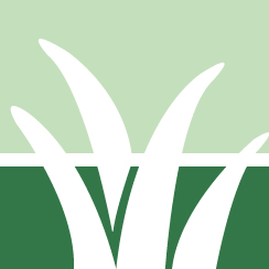 Strive Grass Cutting