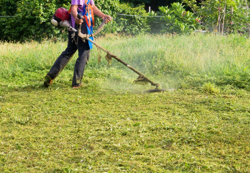 Grass Cutting
