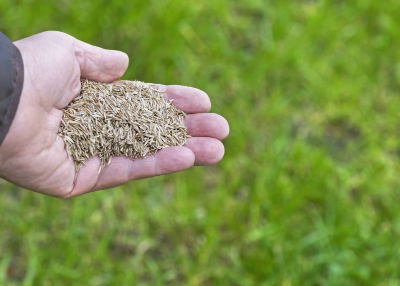 Commercial Grass Seeding in Honolulu, HI
