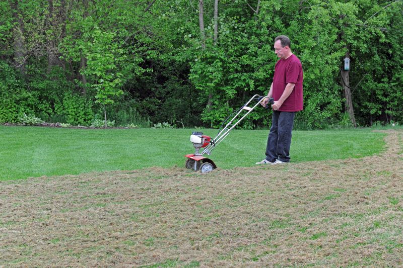 Lawn Aeration and Thatch Removal