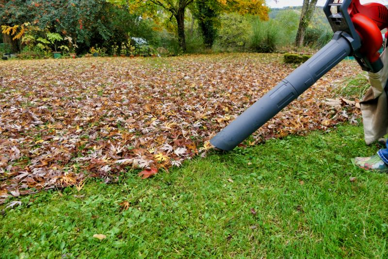 Leaf Blowing for Clear Surfaces