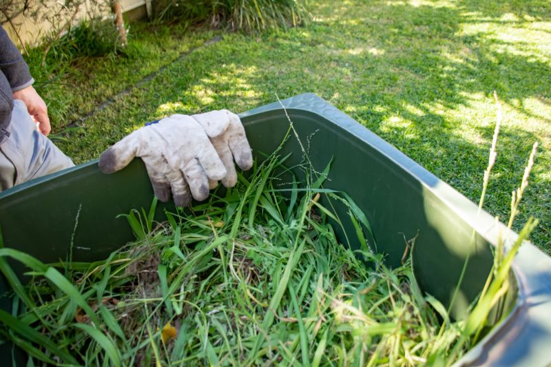 Grass Clippings Collection