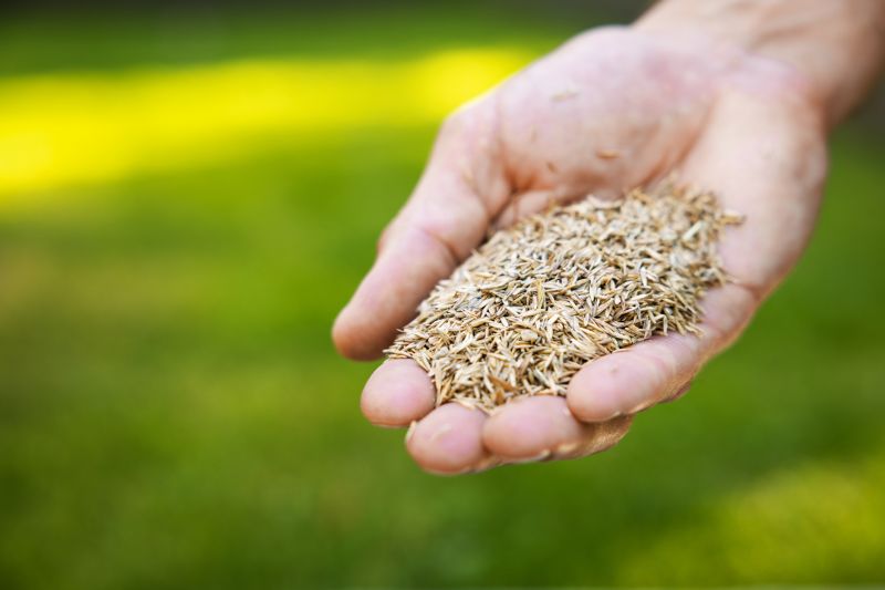 Residential Grass Seeding in Ventura County, CA
