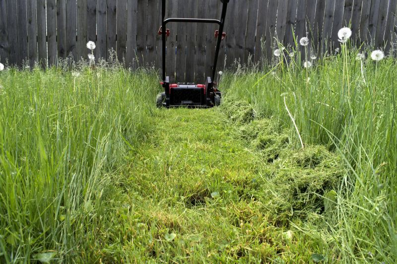 Weekly Lawn Care in Bowie, MD