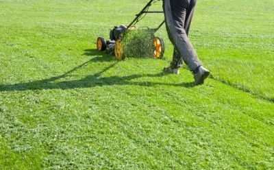 Cut the Grass!