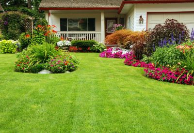 Improve Curb Appeal!