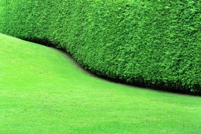 Keep Your Grass Looking Great!
